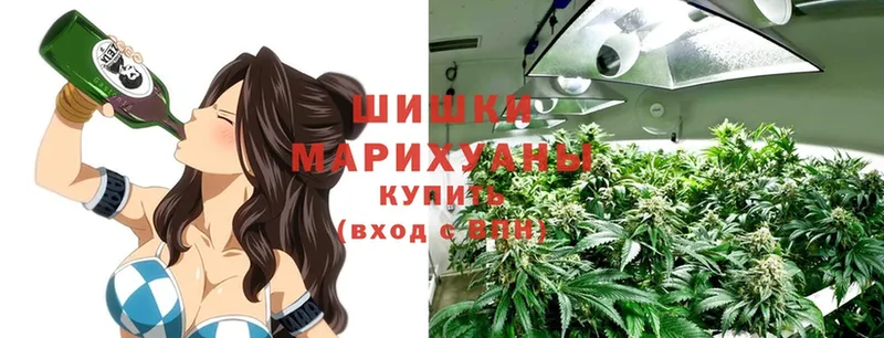 Бошки марихуана LSD WEED  Киселёвск 